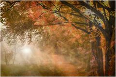 Herbstnebel 5