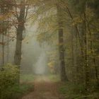 Herbstnebel