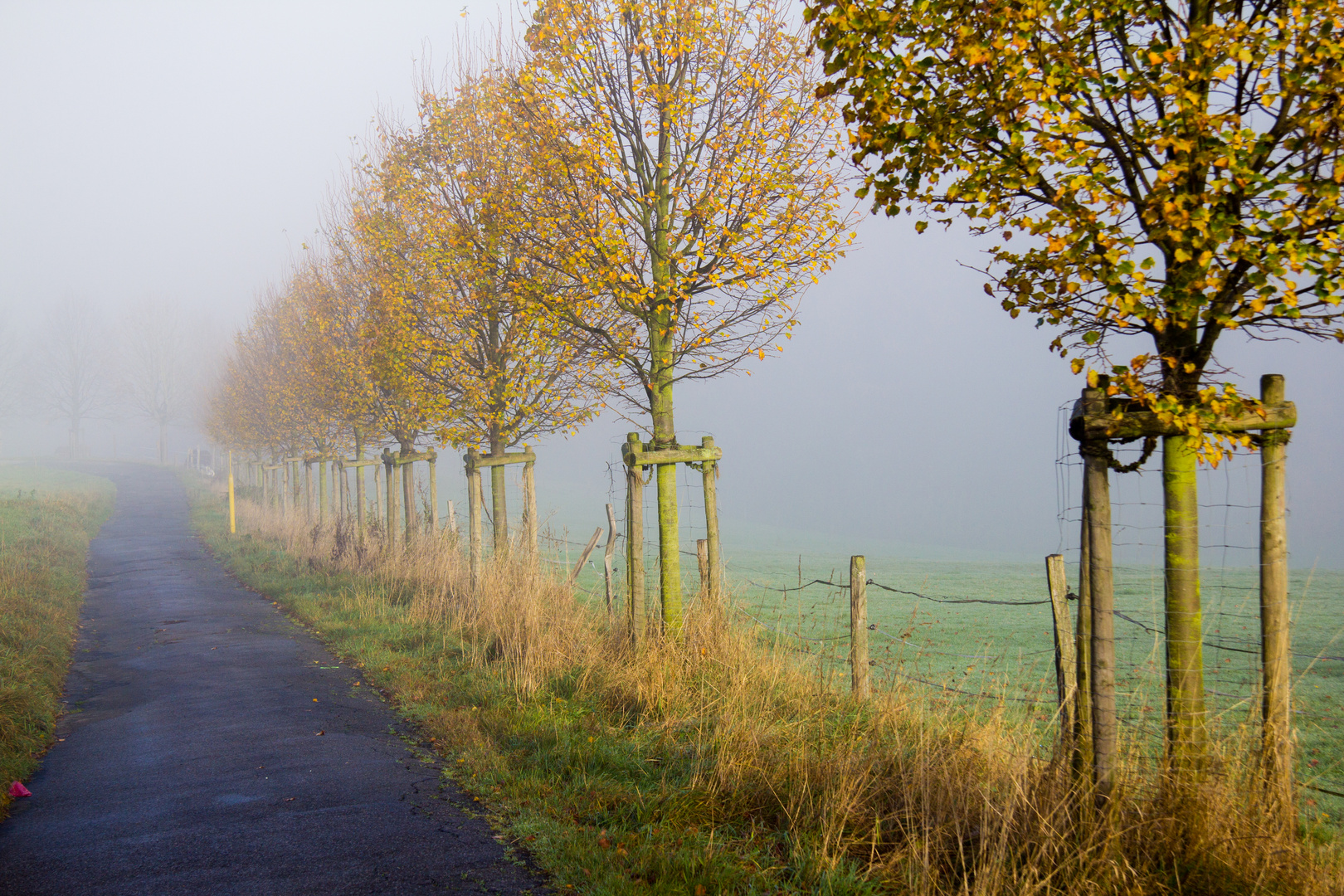 Herbstnebel