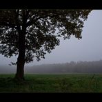 HerbstNebel