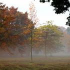 Herbstnebel