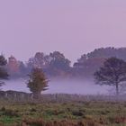 Herbstnebel