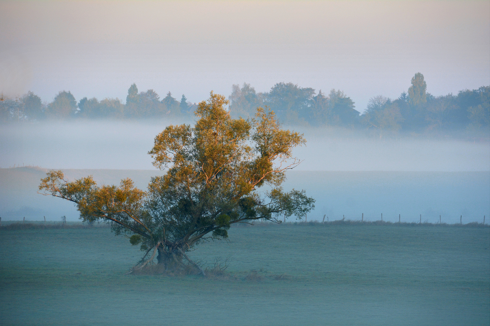 Herbstnebel...