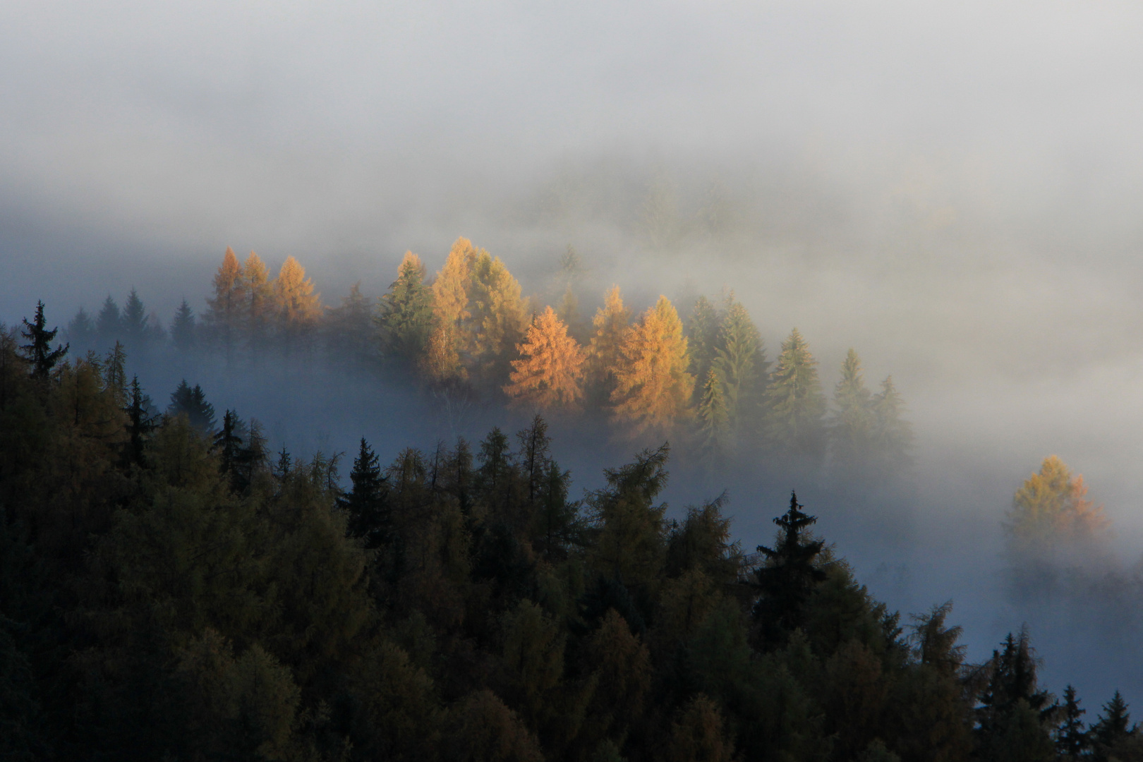 Herbstnebel