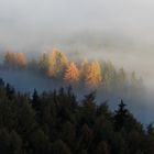 Herbstnebel