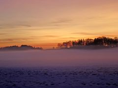 Herbstnebel