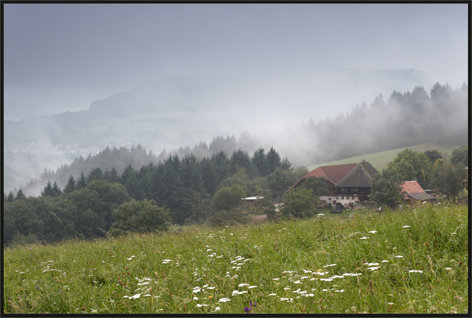 Herbstnebel