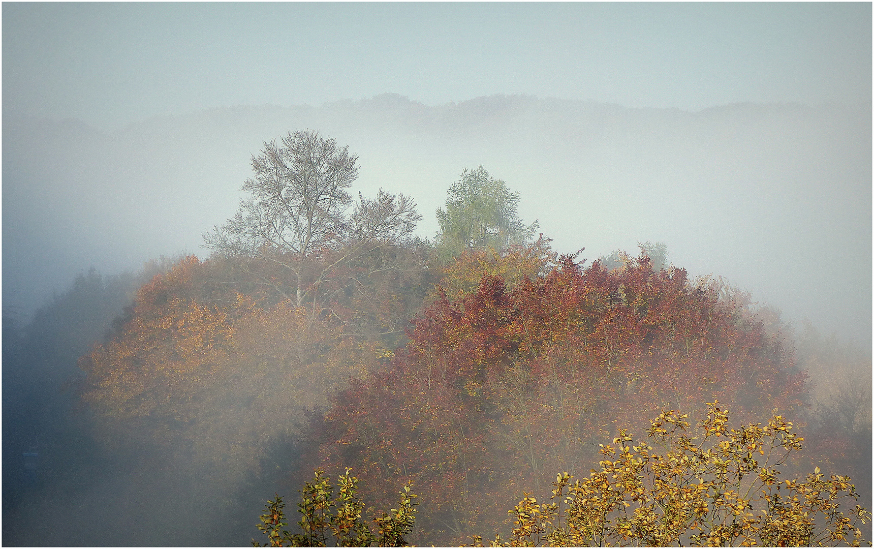 Herbstnebel