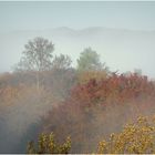 Herbstnebel