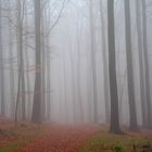 Herbstnebel