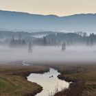 Herbstnebel