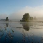 ...Herbstnebel...