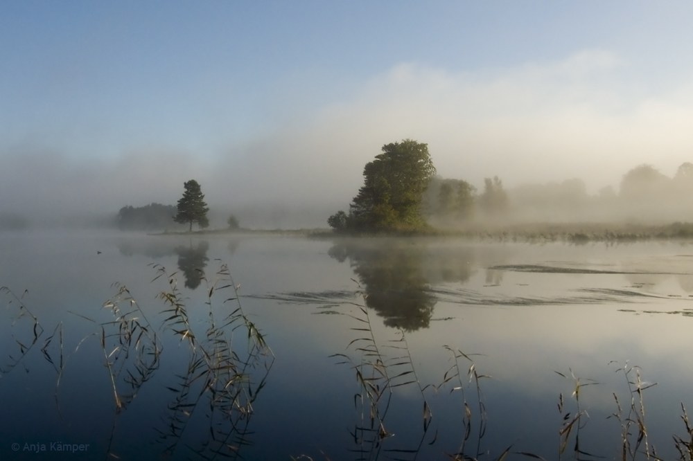 ...Herbstnebel...