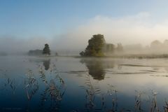 ...Herbstnebel...