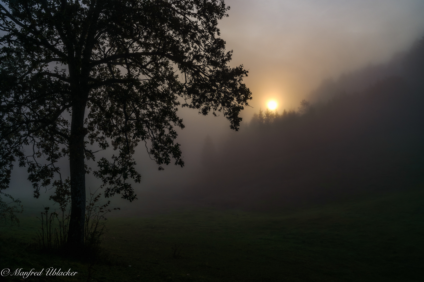 Herbstnebel ...