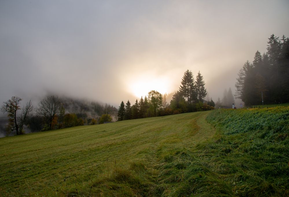 Herbstnebel