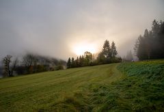 Herbstnebel