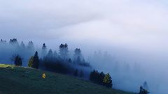 Herbstnebel