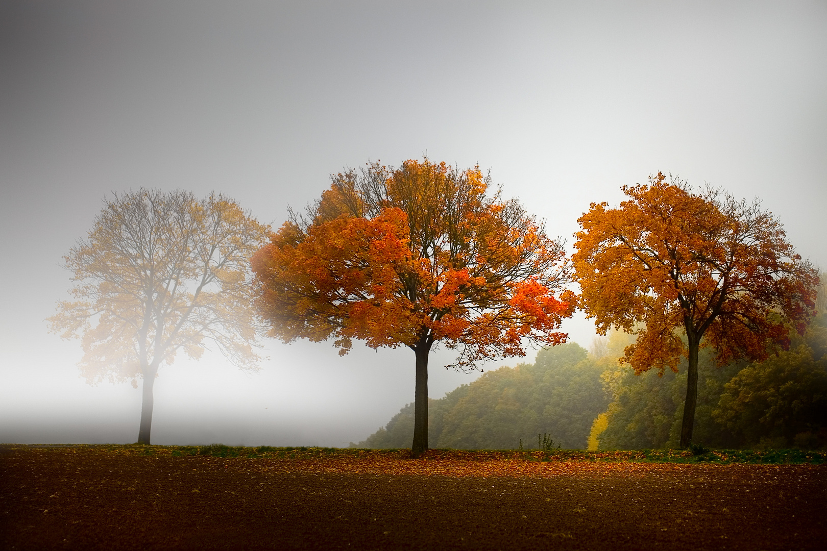 Herbstnebel