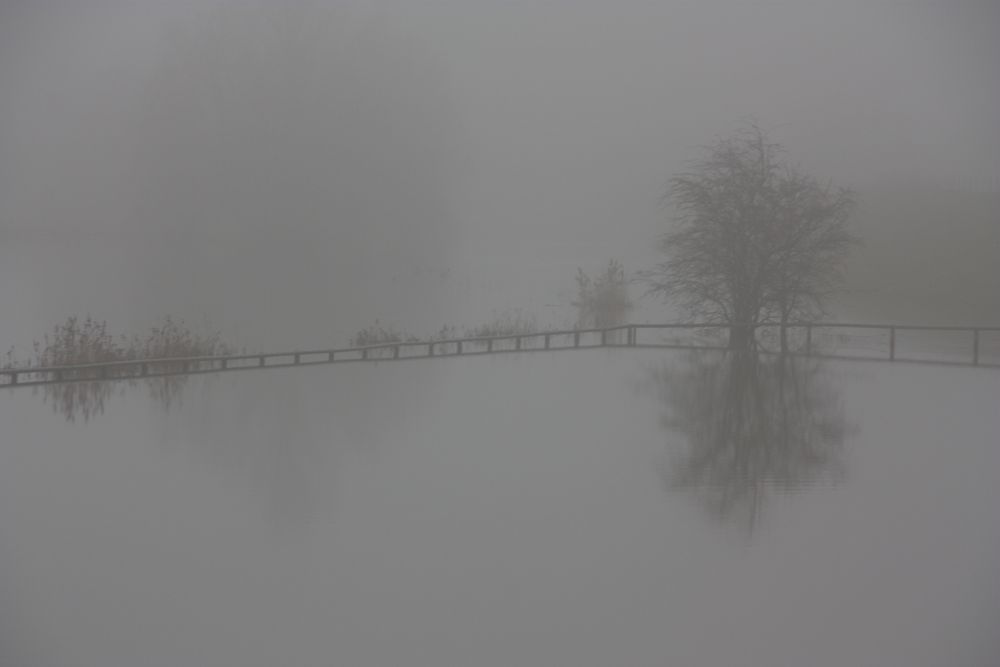 Herbstnebel