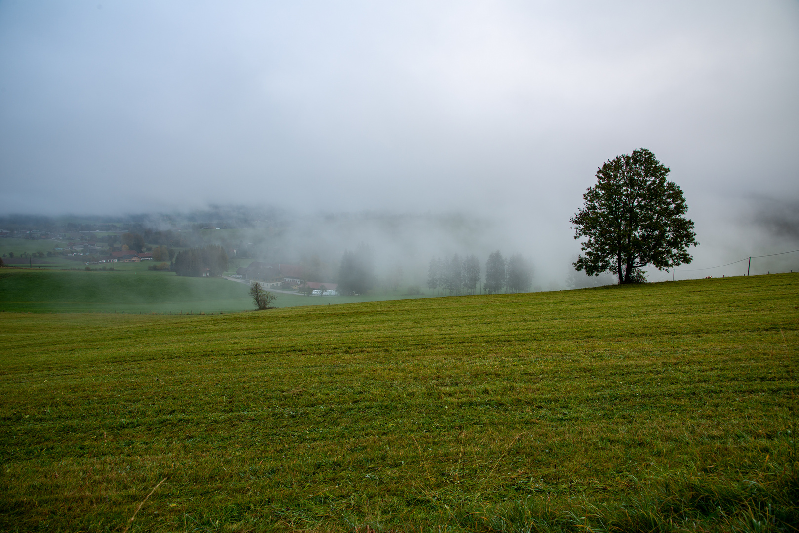 Herbstnebel