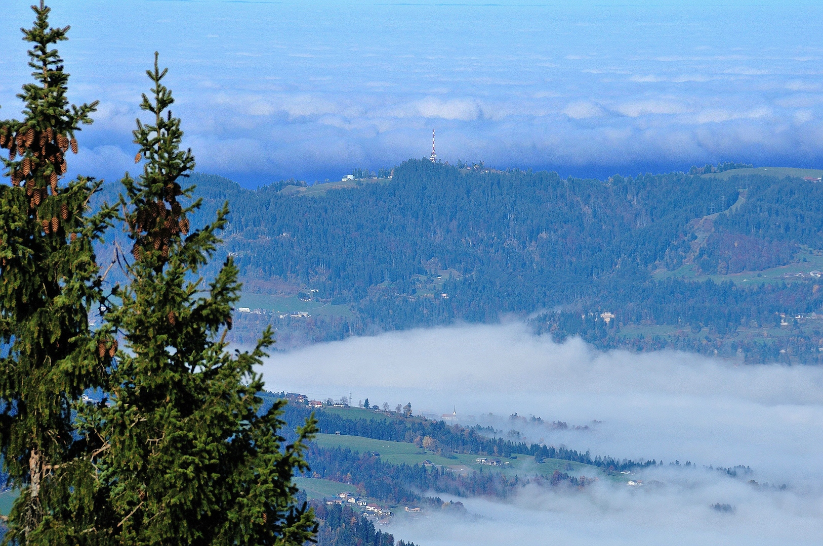 Herbstnebel