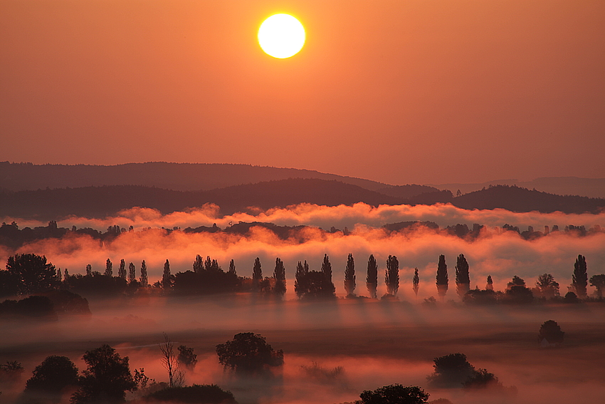 Herbstnebel