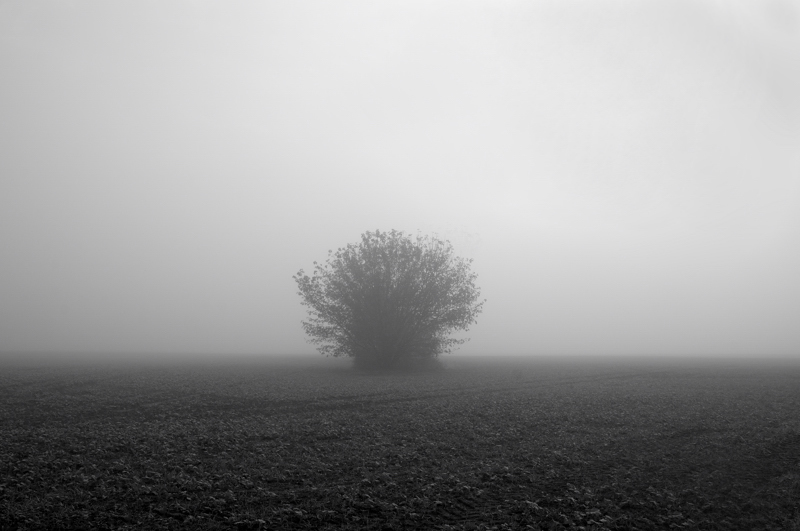 Herbstnebel