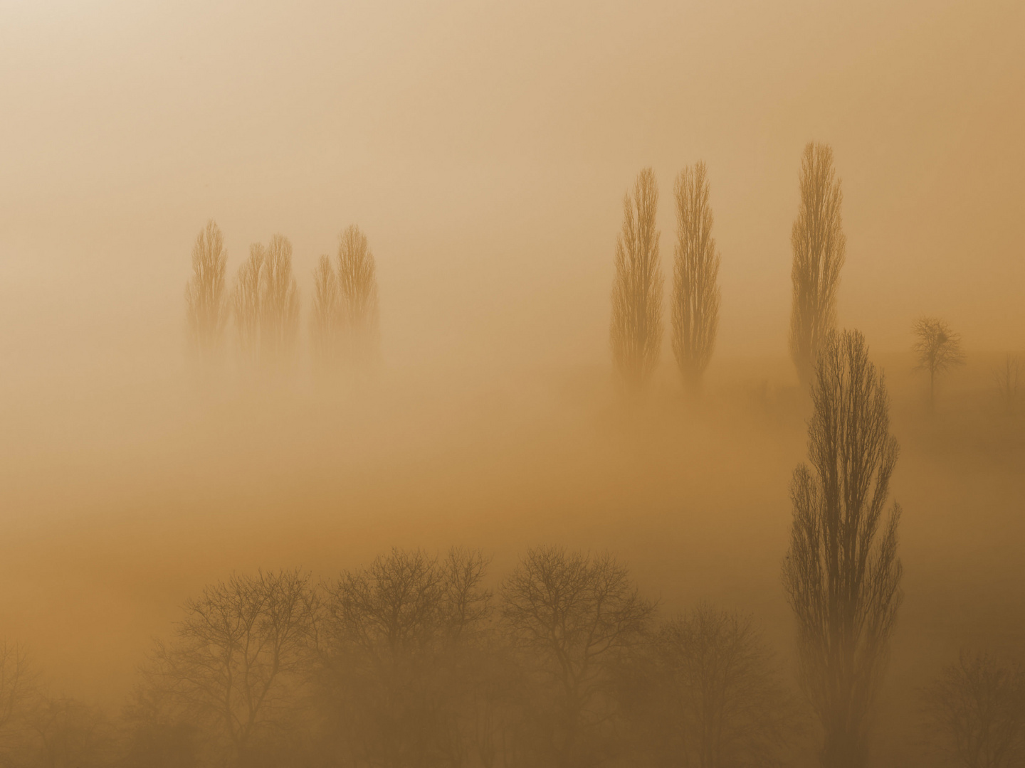 Herbstnebel