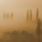 Herbstnebel