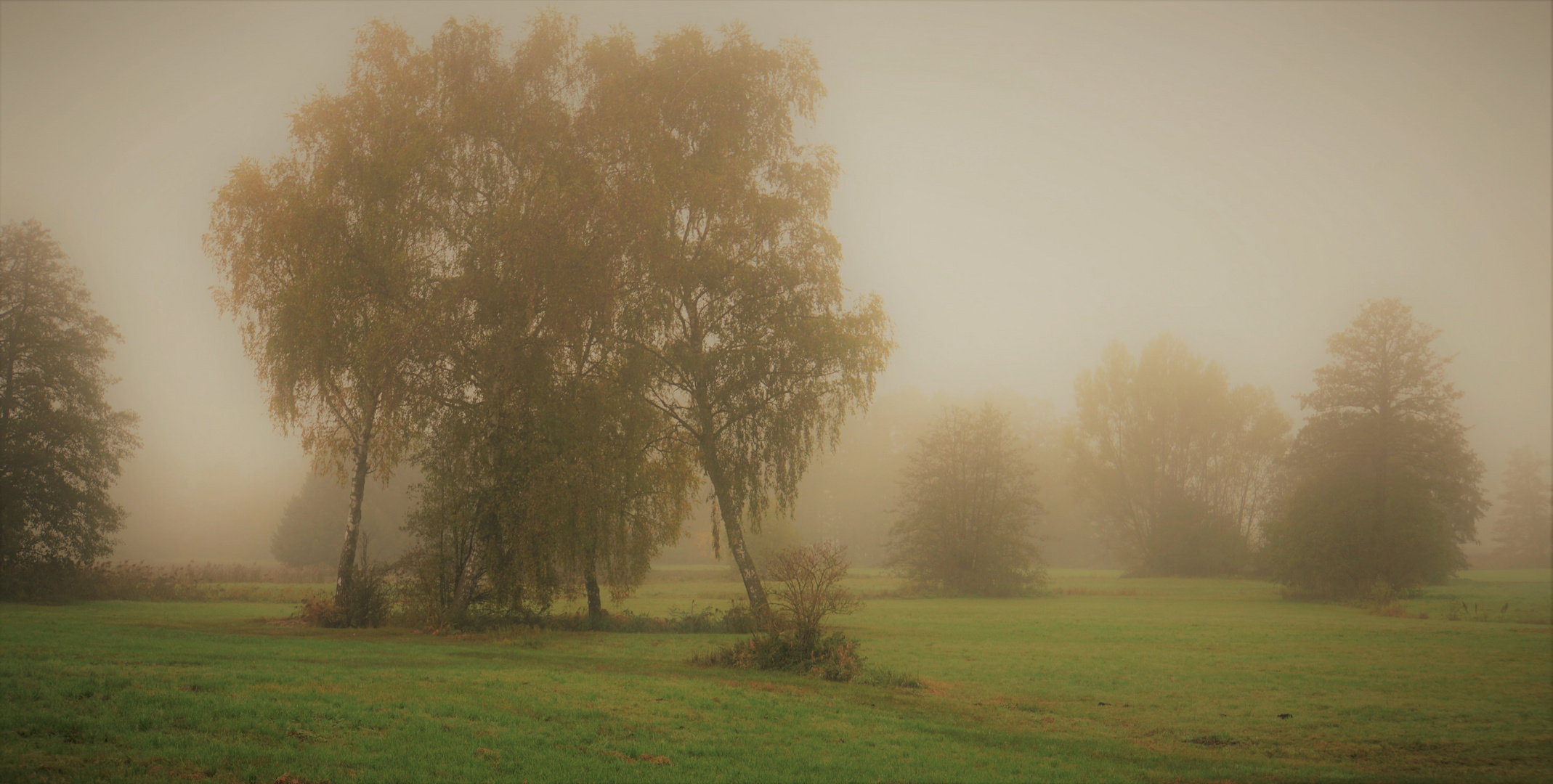 Herbstnebel