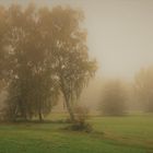 Herbstnebel