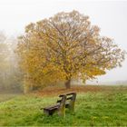 Herbstnebel