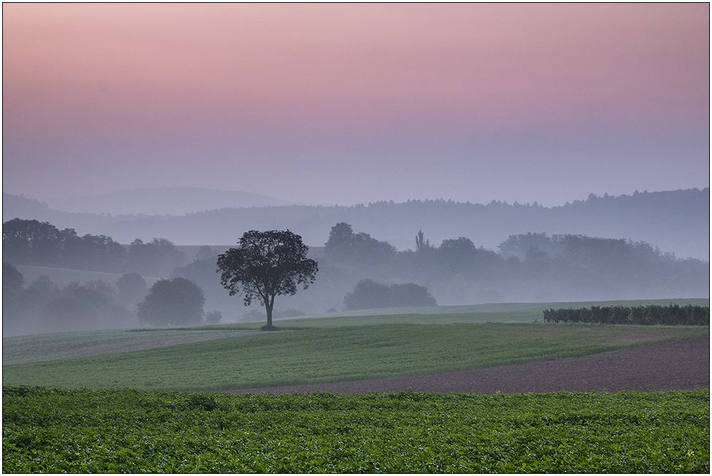 Herbstnebel