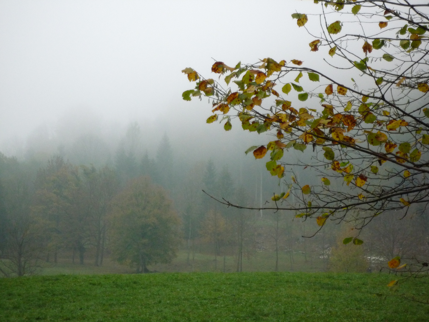 Herbstnebel