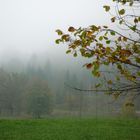 Herbstnebel