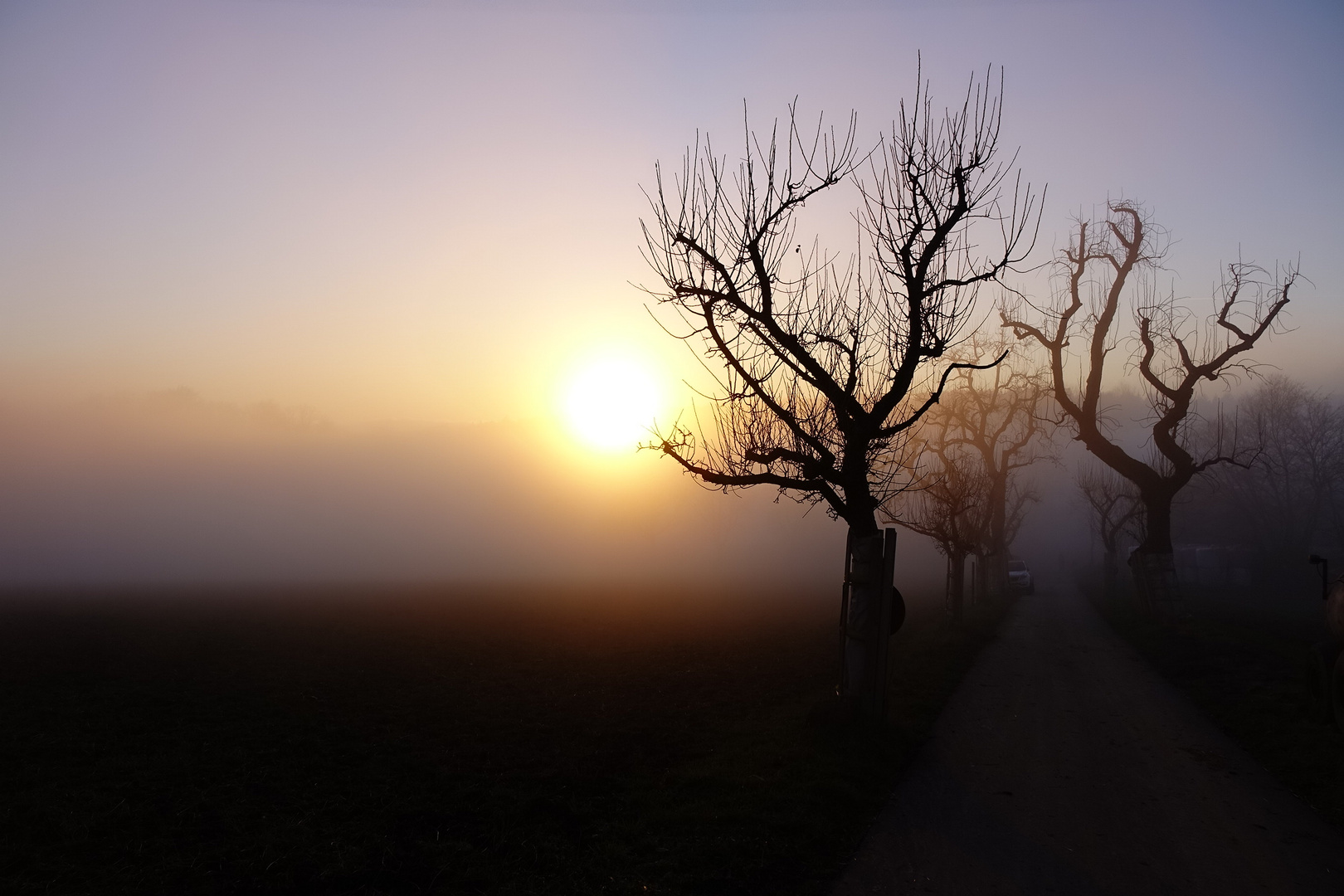 Herbstnebel