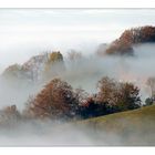 Herbstnebel