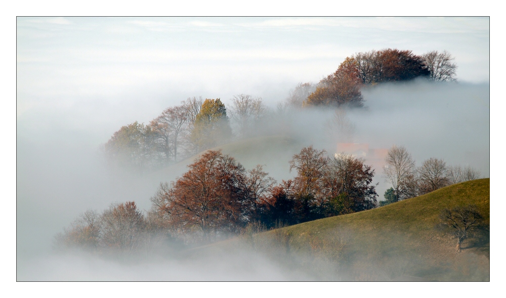 Herbstnebel