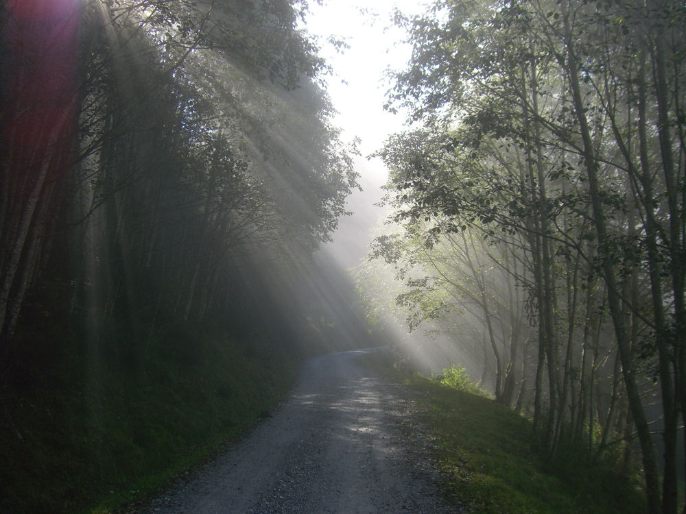 Herbstnebel