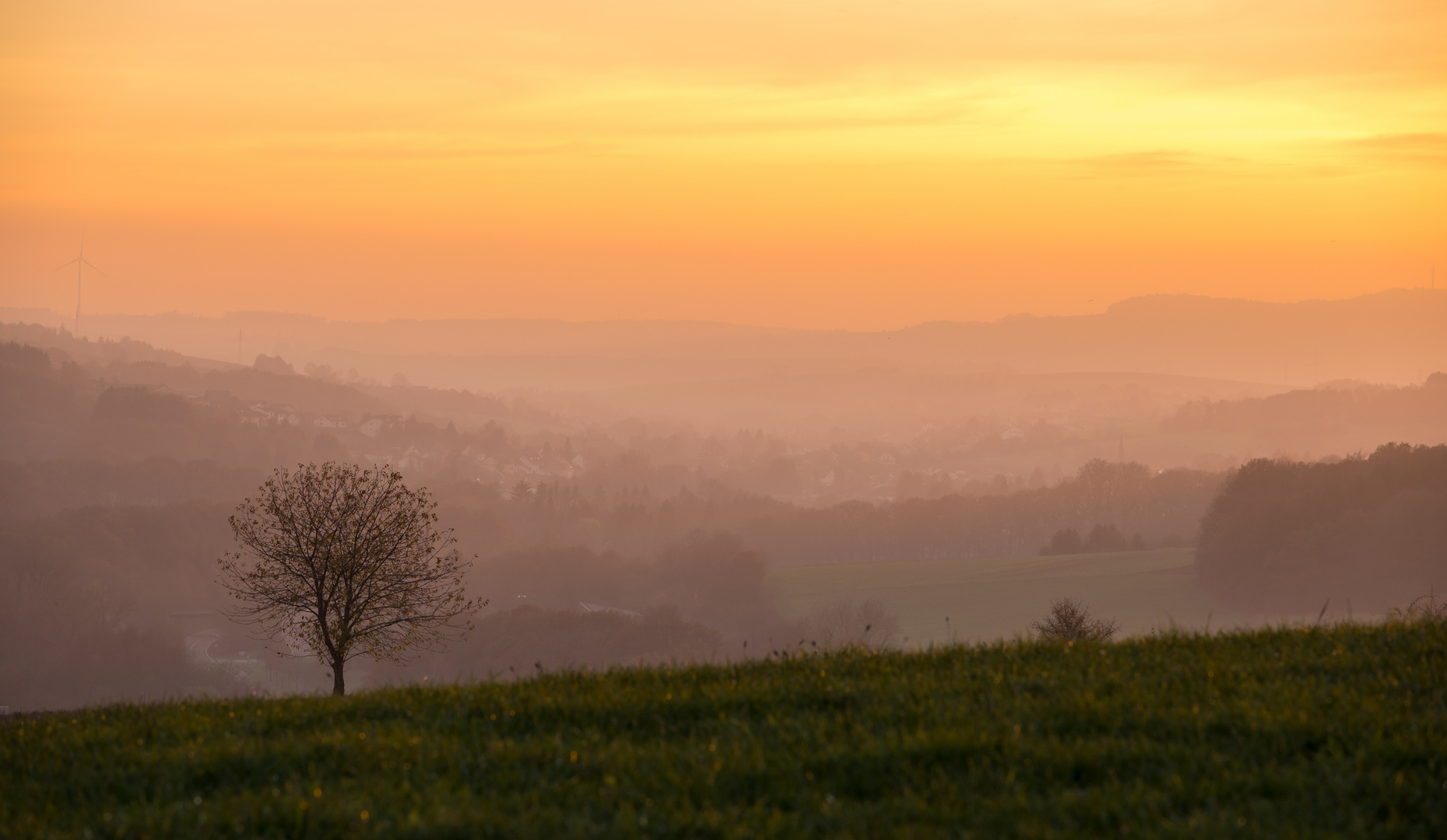 Herbstnebel