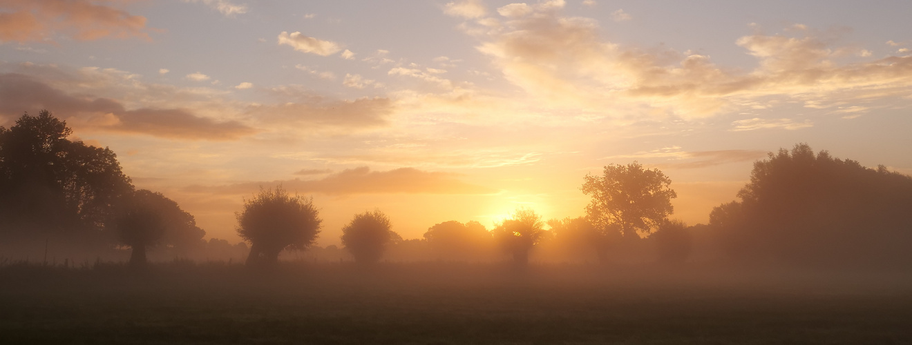 Herbstnebel