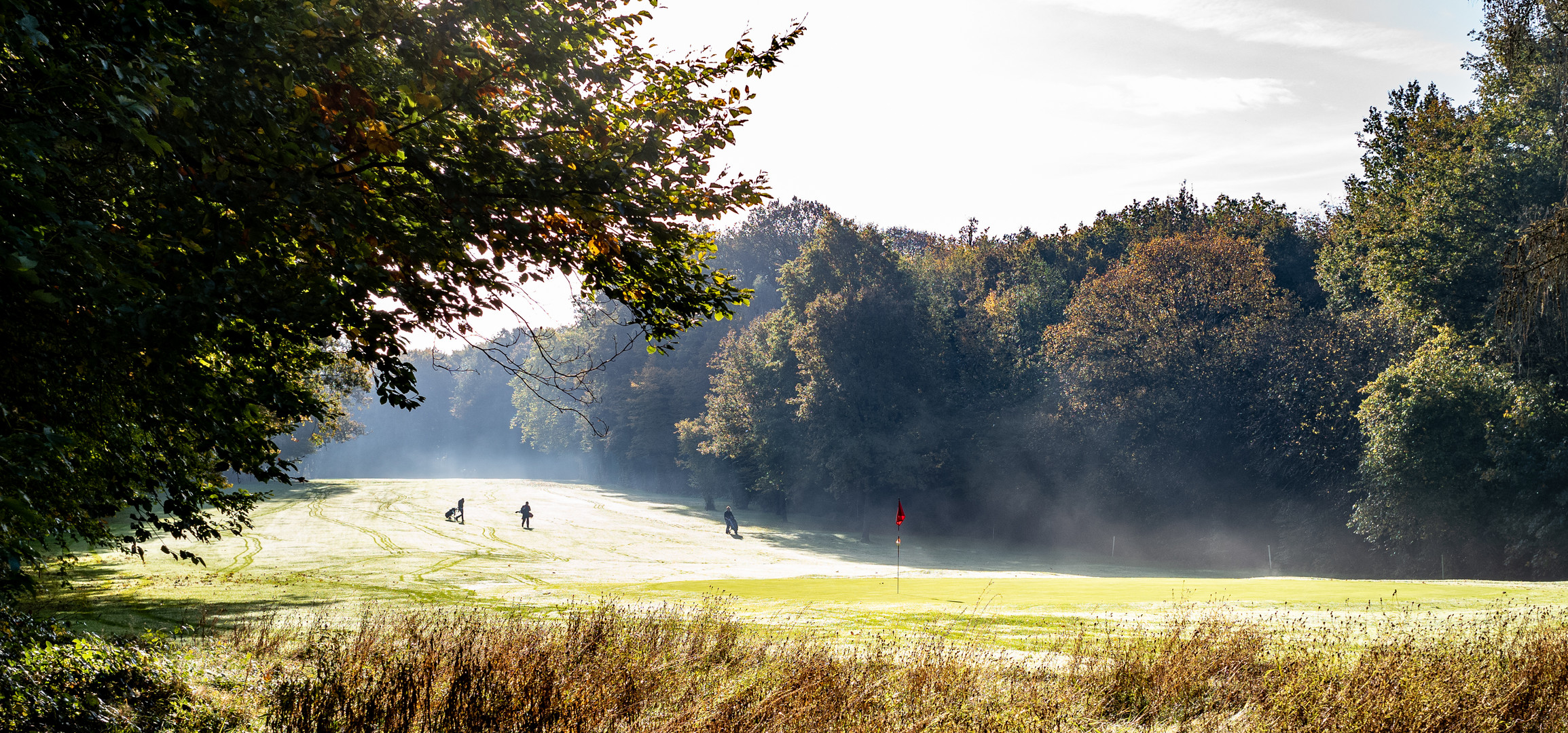 Herbstnebel