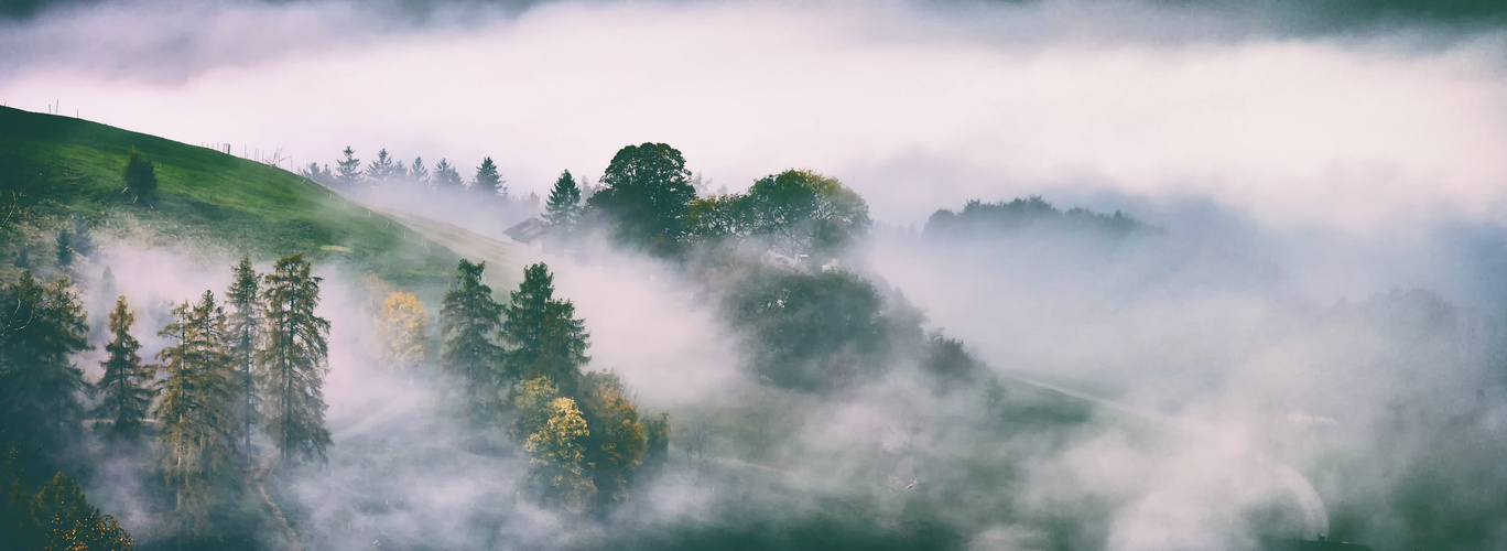 Herbstnebel