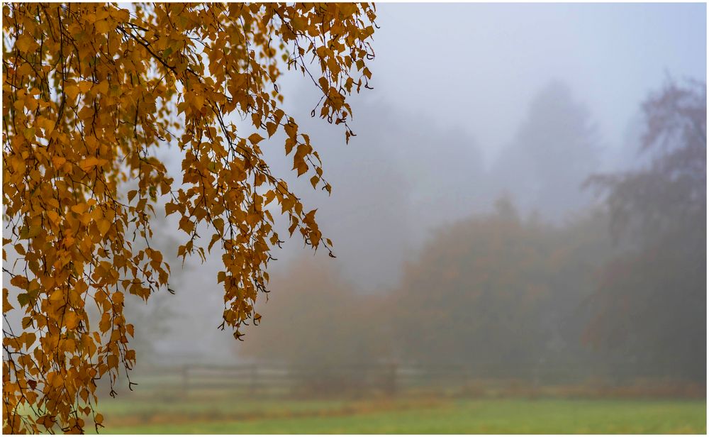 Herbstnebel