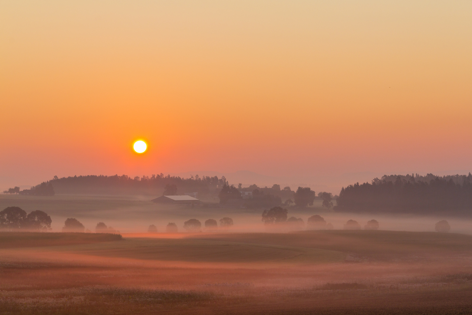 Herbstnebel