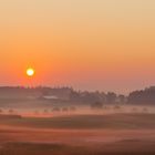 Herbstnebel