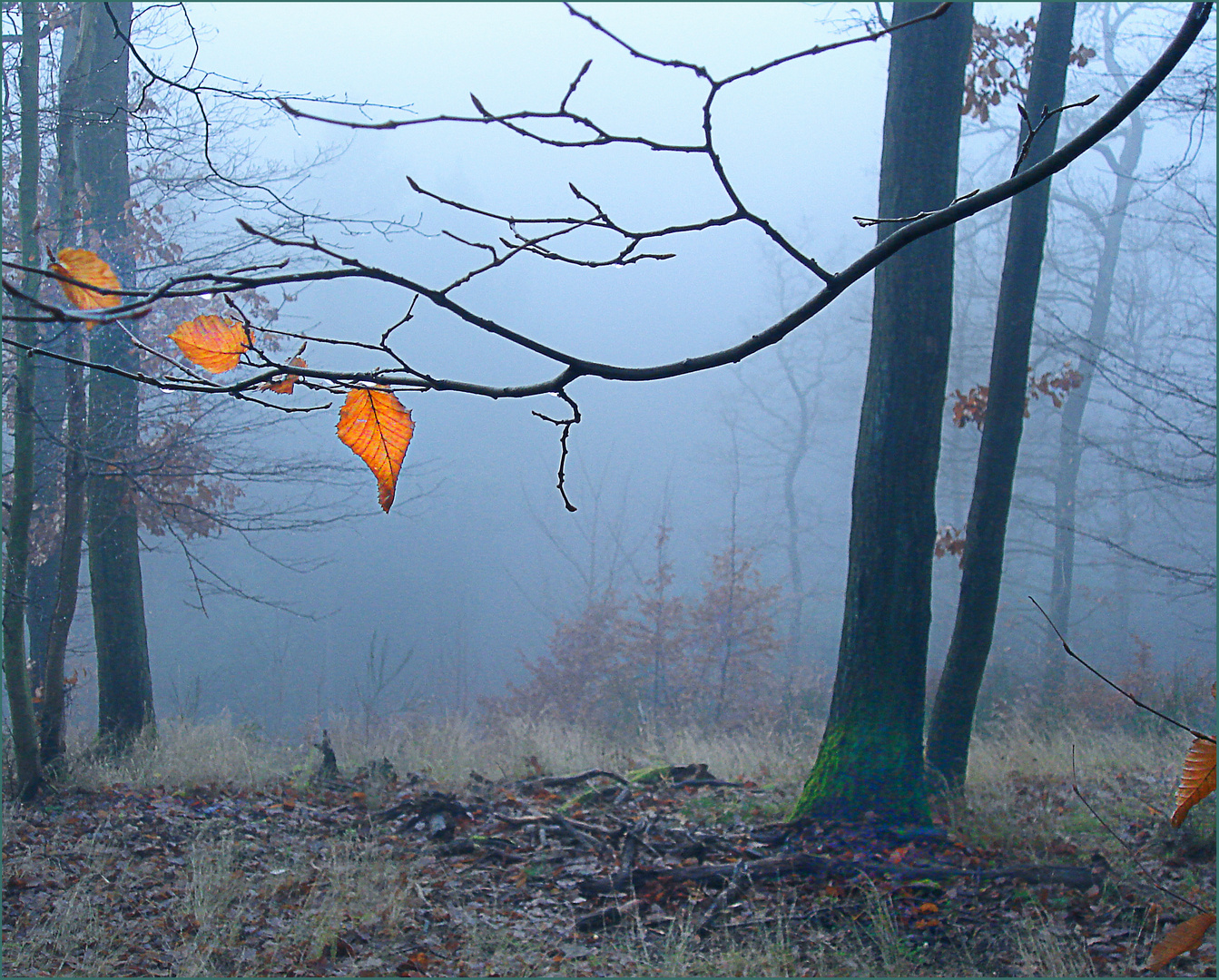 Herbstnebel