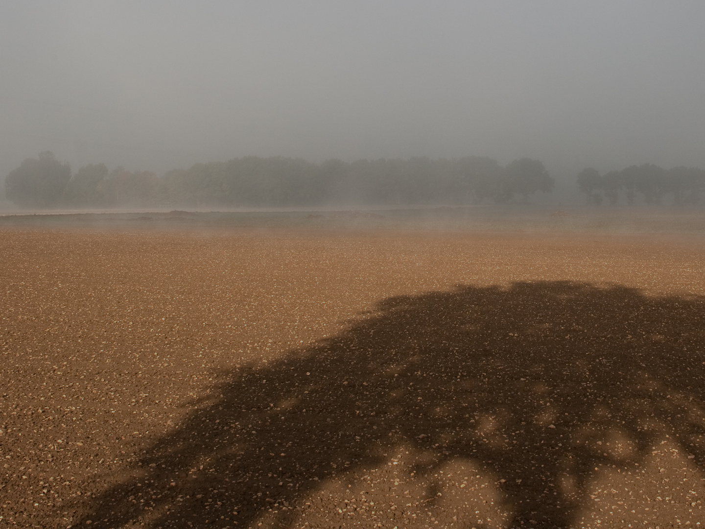 Herbstnebel