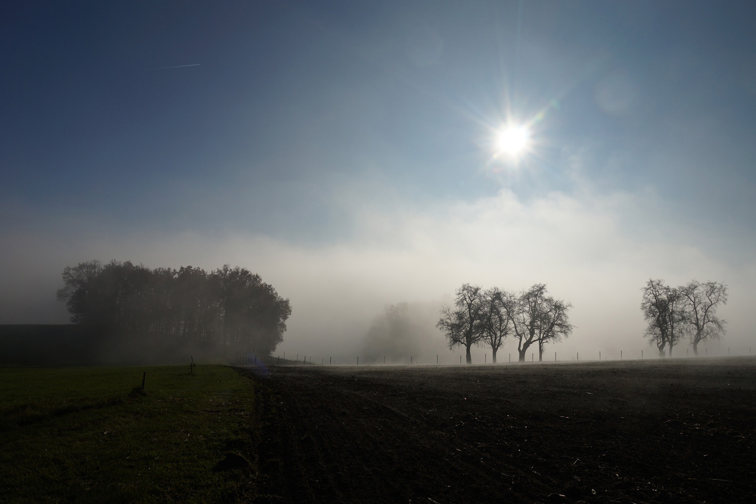 Herbstnebel